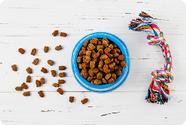 Consulta General y Preventiva