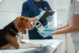 Consulta General y Preventiva