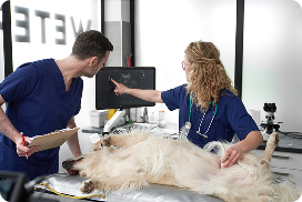 Consulta General y Preventiva